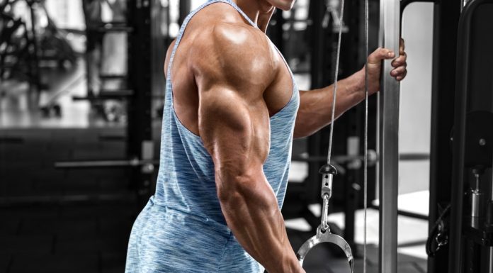 Diese drei Trizeps Übungen solltest du kennen Trizeps Übungen