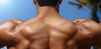 Trapezmuskel – Training des Trapezius Trapezmuskel Training