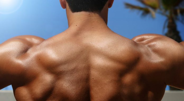 Trapezmuskel – Training des Trapezius Trapezmuskel Training