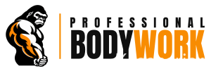 professional-bodywork.de